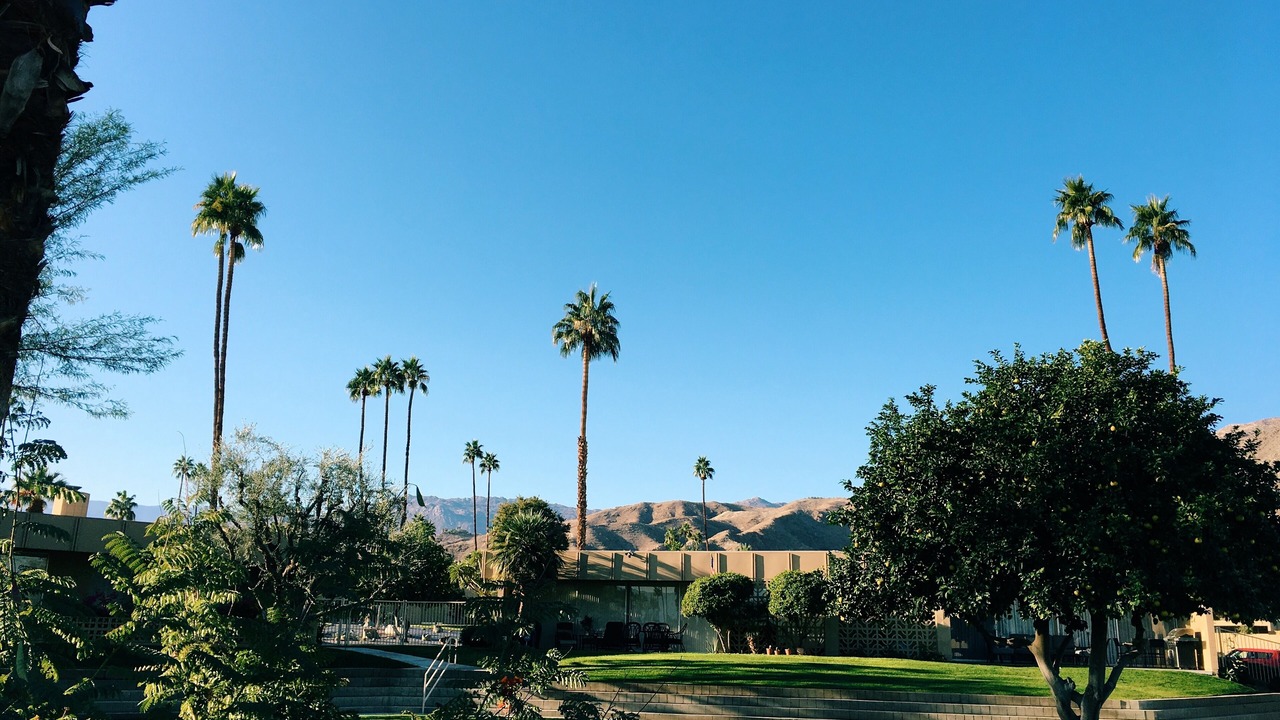 Photo of Outdoor in Palm Desert