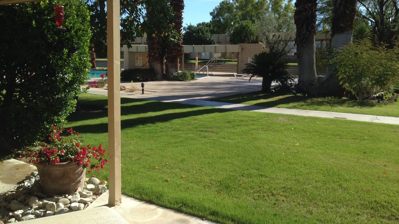 Photo of Outdoor in Palm Desert