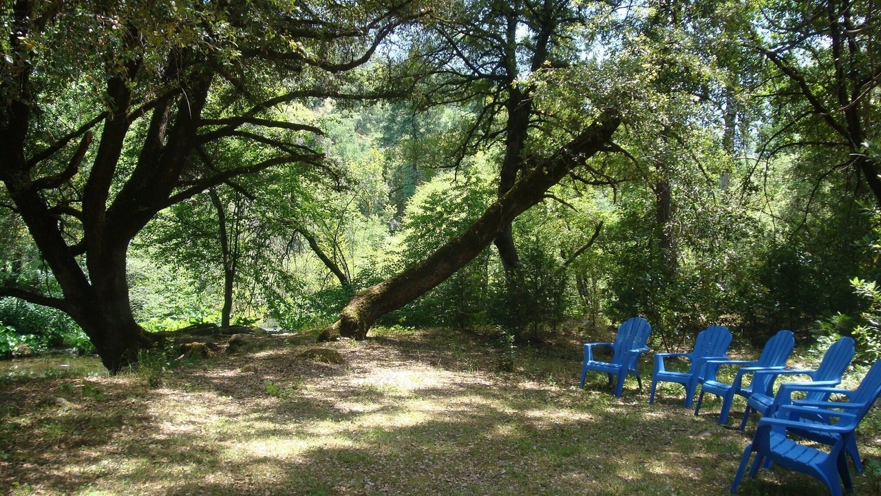 Photo of Others in Forest Ranch