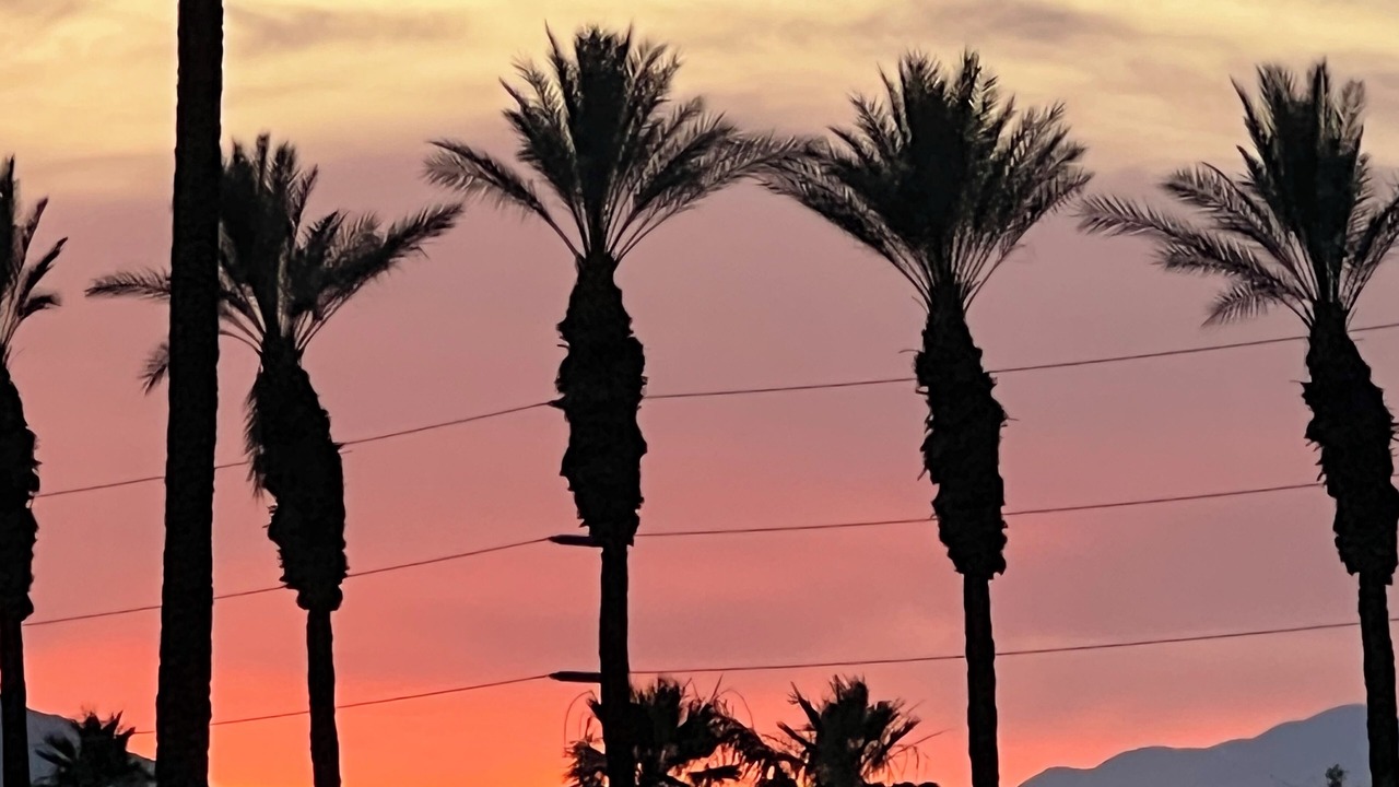 Photo of Others in Rancho Mirage