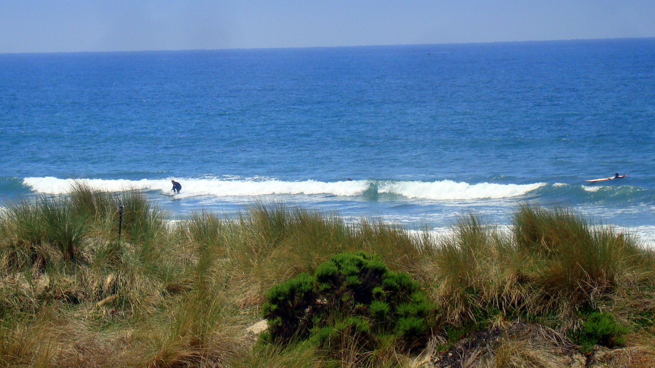 Photo of Bedroom in Pajaro Dunes