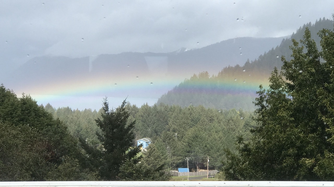 Photo of Others in Shelter Cove