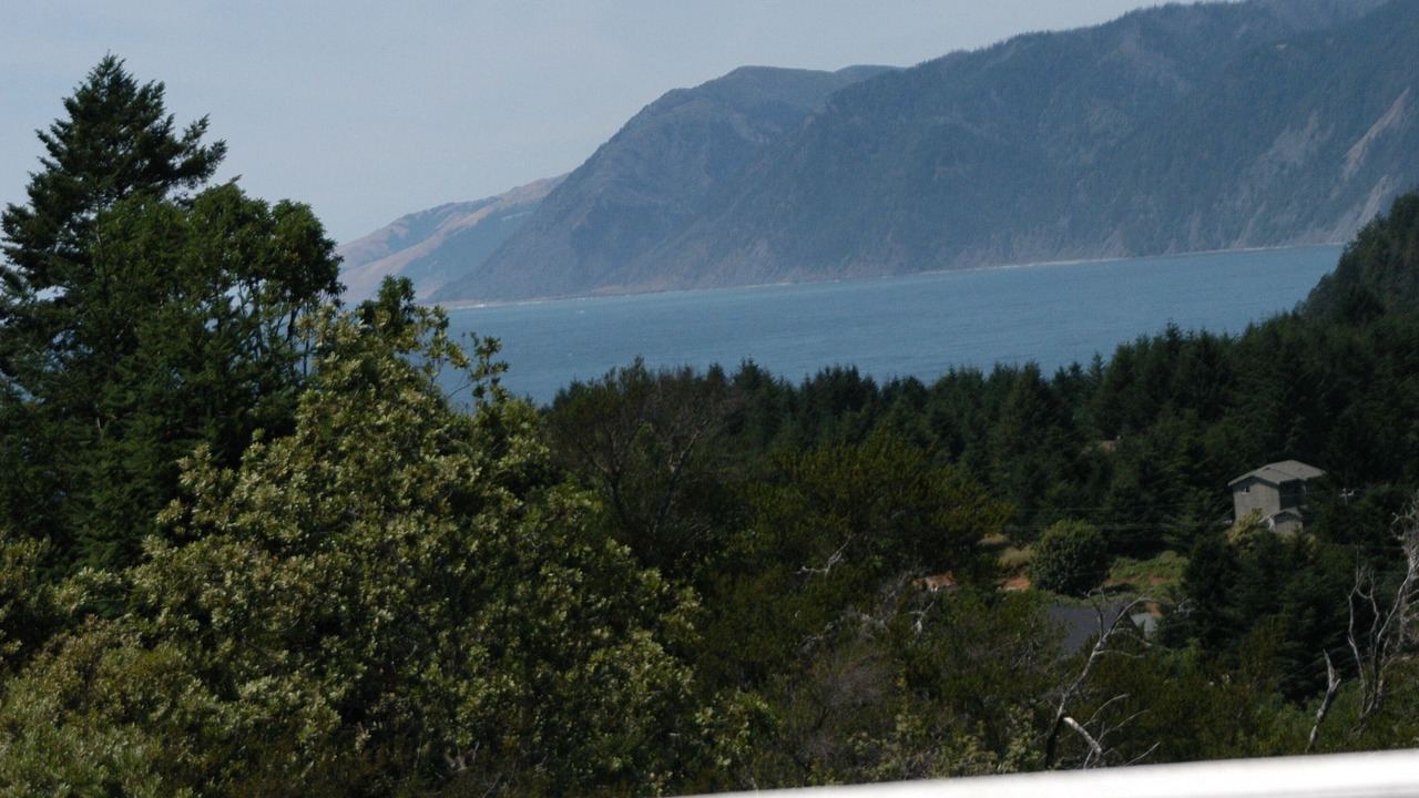 Photo of Outdoor in Shelter Cove