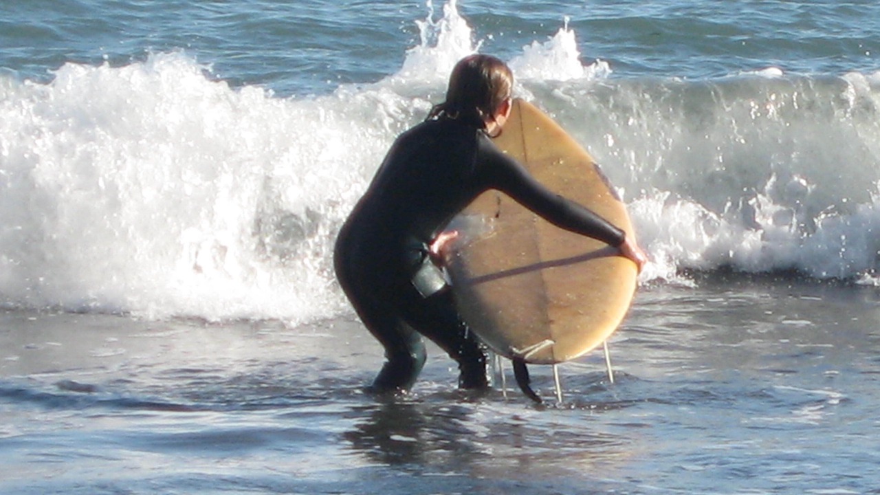 Photo of Others in Shelter Cove