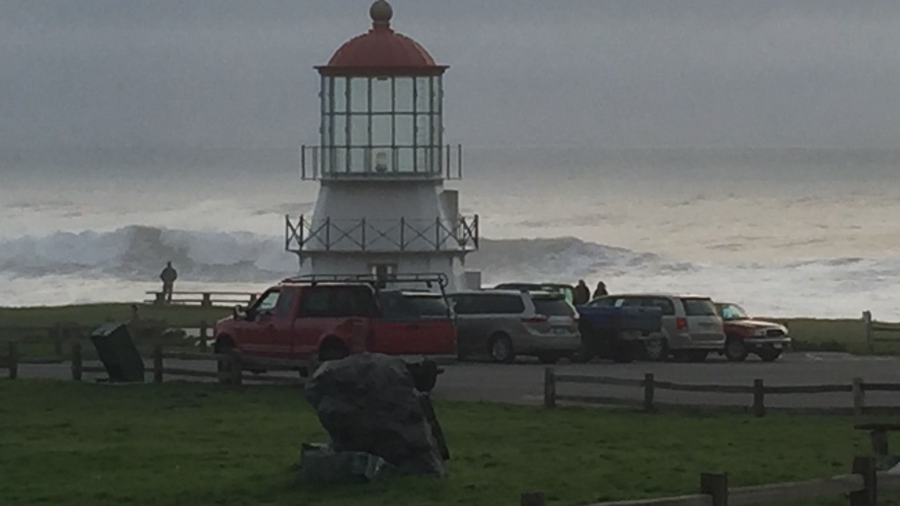 Photo of Others in Shelter Cove