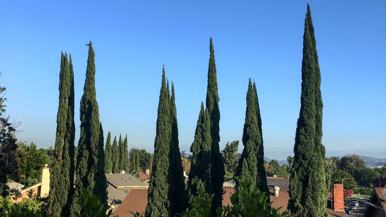 Photo of Others in Valley Glen