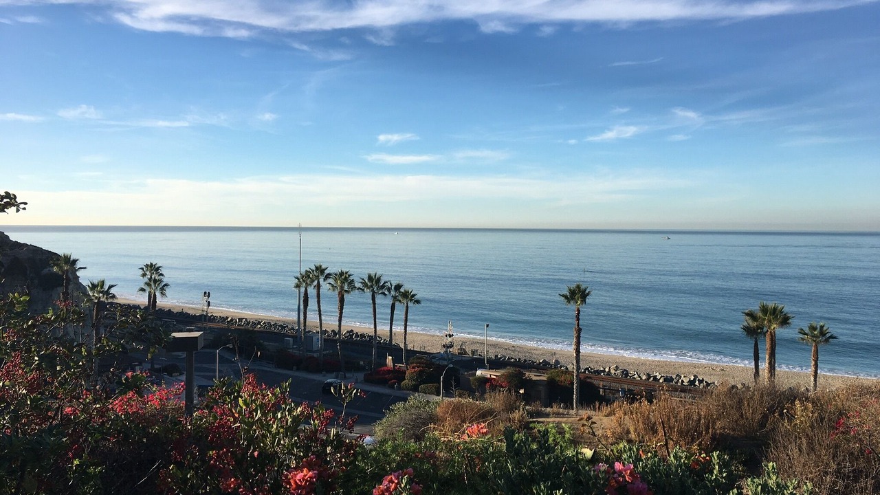Photo of Others in San Clemente