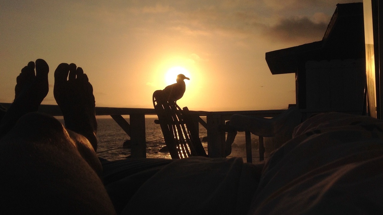 Photo of Others in Eastern Malibu