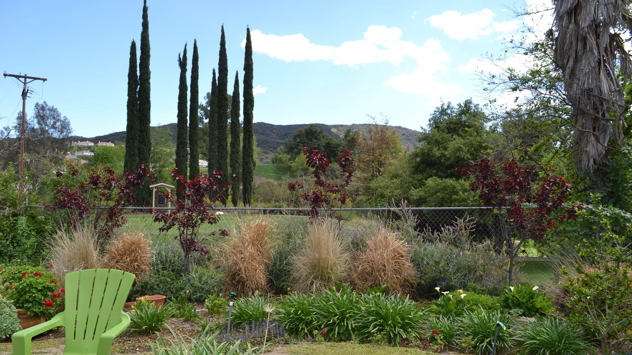 Photo of Outdoor in Tarzana