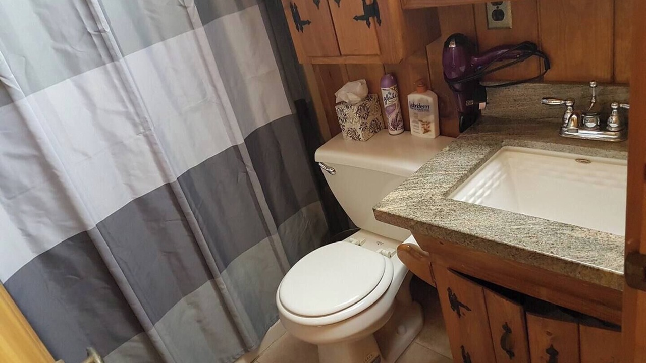 Photo of Bathroom in Idyllwild