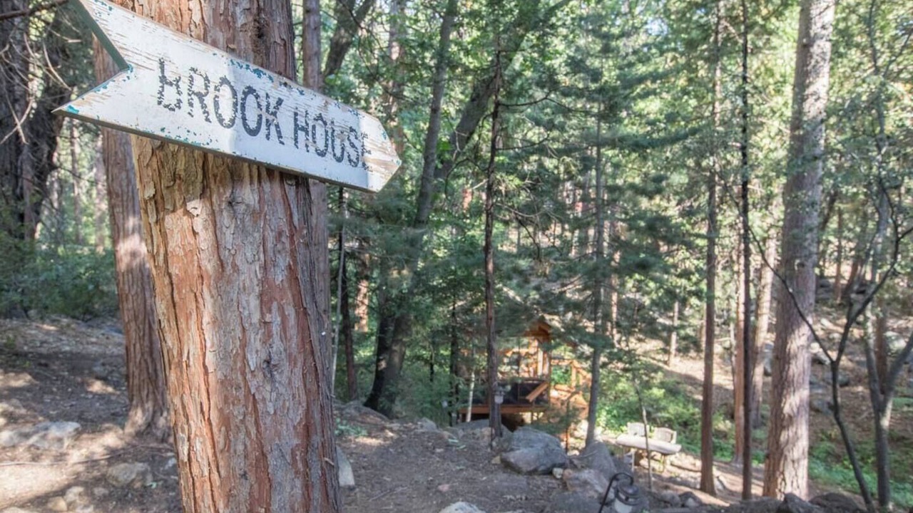 Photo of Others in Idyllwild