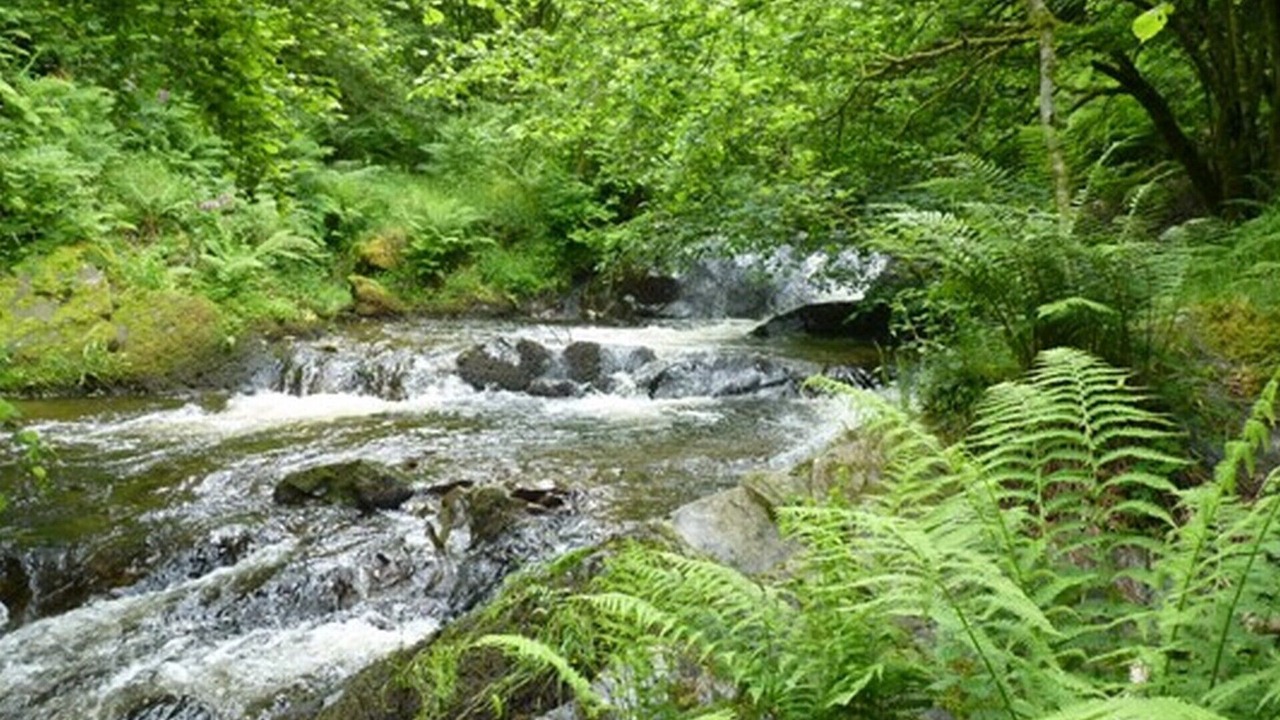 Photo of Others in Allerford