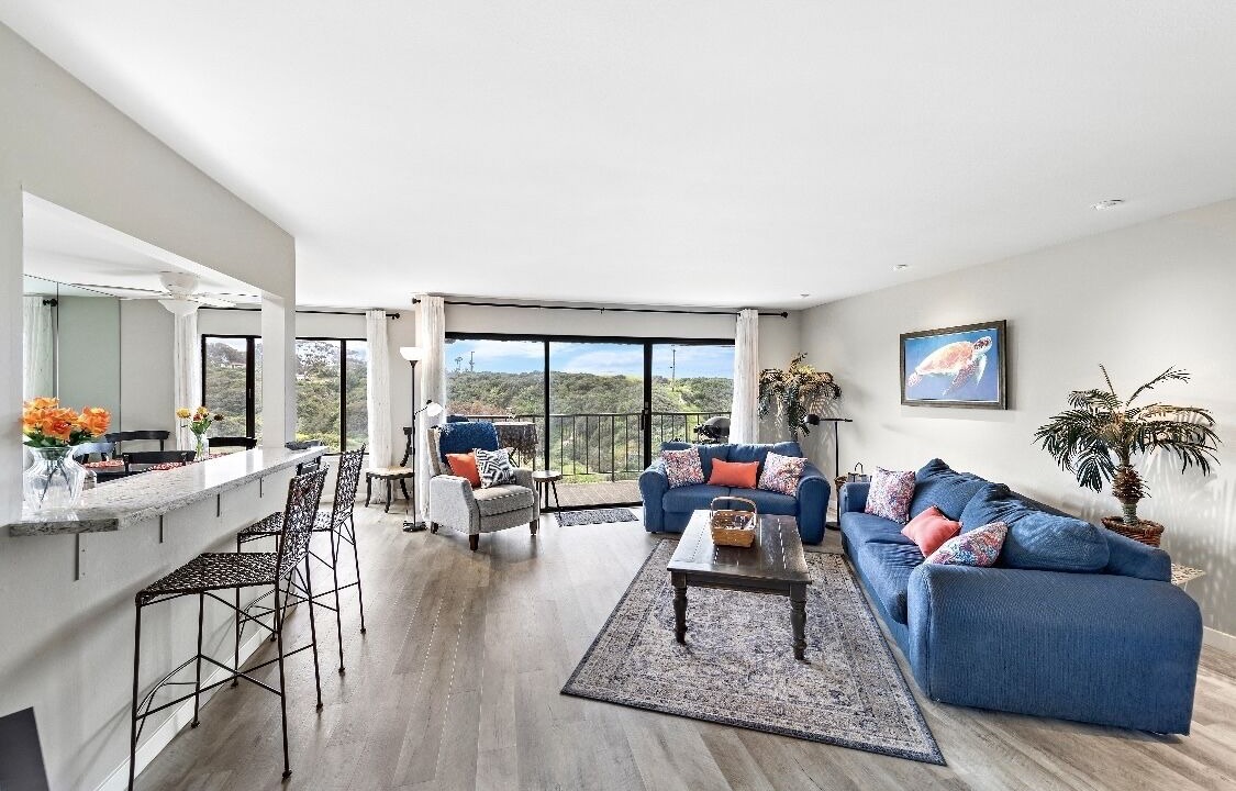 Photo of Livingroom in San Clemente