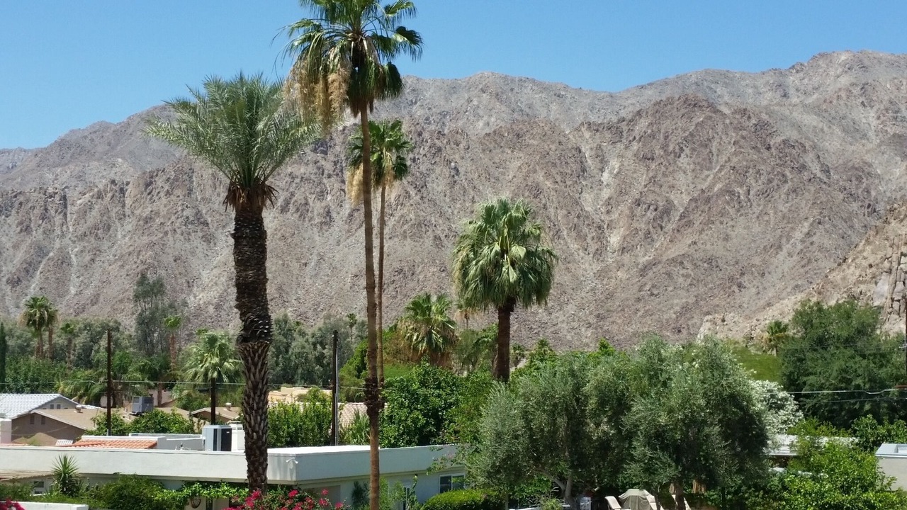 Photo of Others in La Quinta Cove
