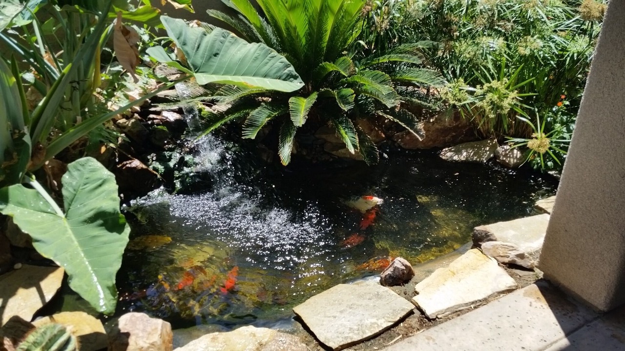 Photo of Others in La Quinta Cove