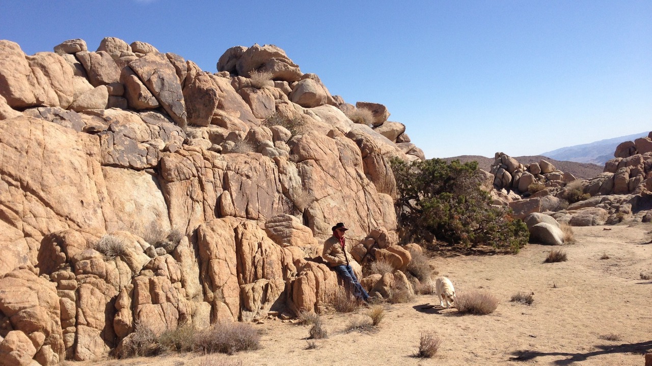 Photo of Others in Yucca Valley