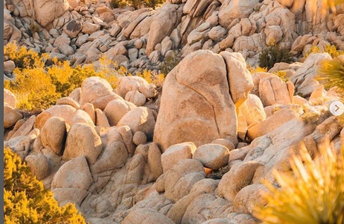 Photo of Others in Yucca Valley
