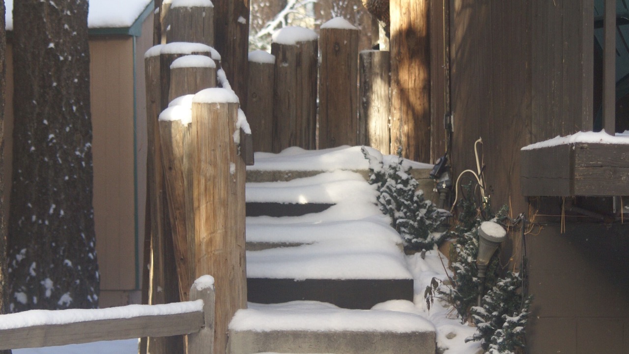 Photo of Others in Wrightwood