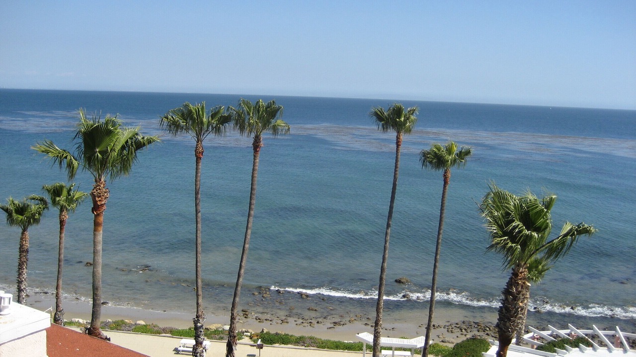 Photo of Others in Central Malibu