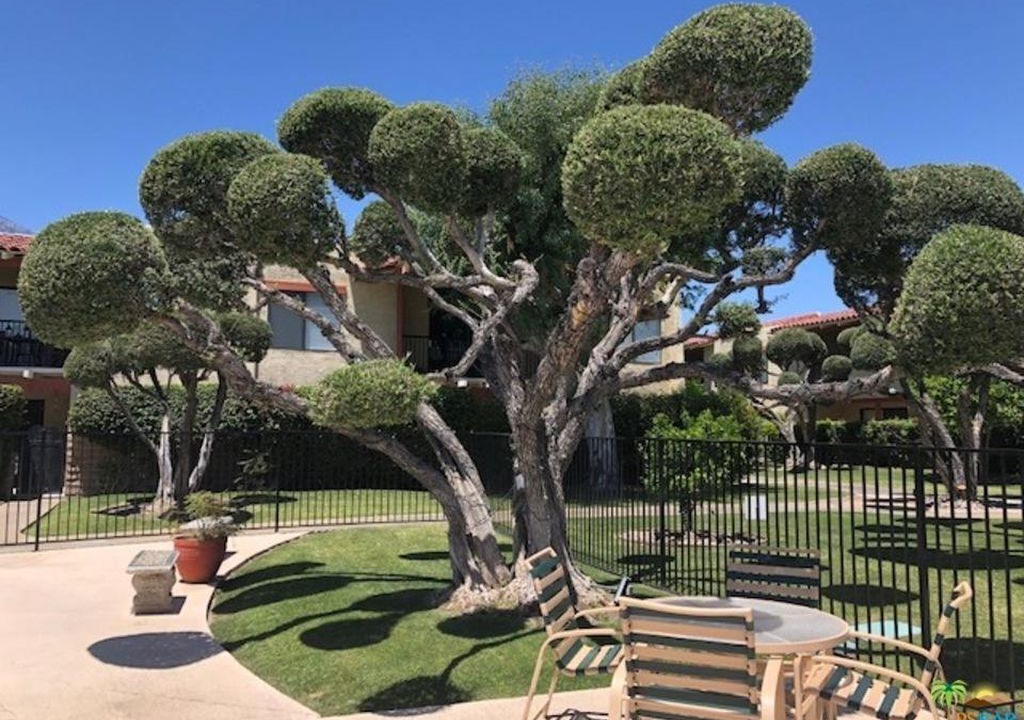 Photo of Outdoor in Sunrise Vista Chino