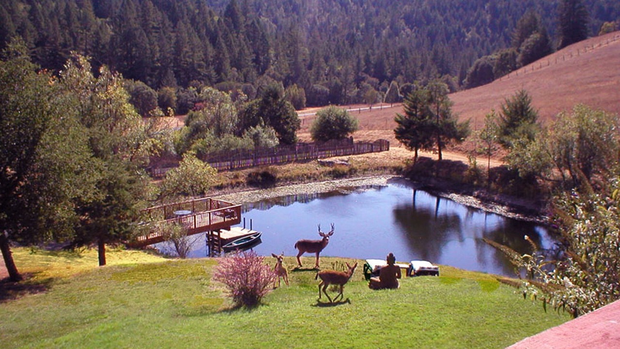 Photo of Others in Redwood Valley