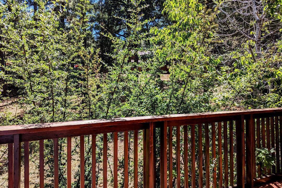 Photo of Outdoor in Big Bear Lake