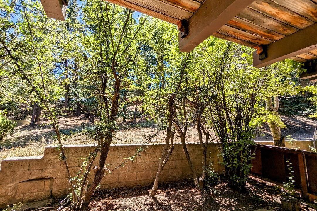 Photo of Outdoor in Big Bear Lake