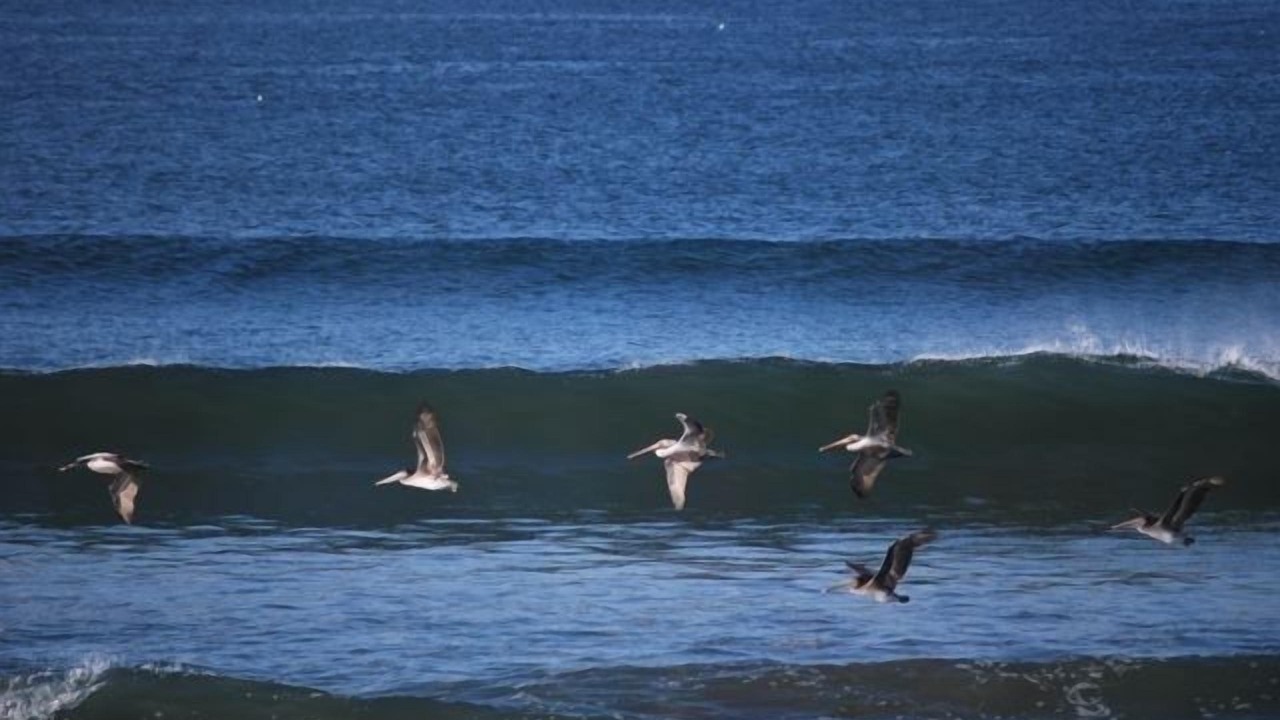 Photo of Others in Watsonville