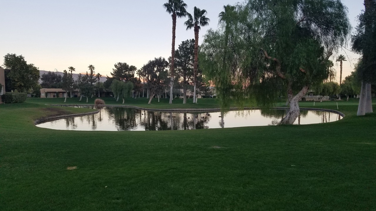 Photo of Outdoor in Palm Springs