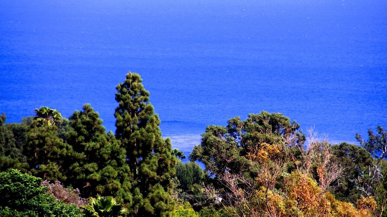 Photo of Others in Central Malibu