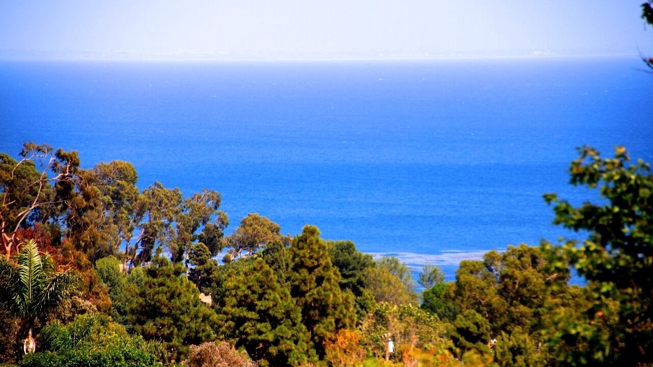 Photo of Others in Central Malibu