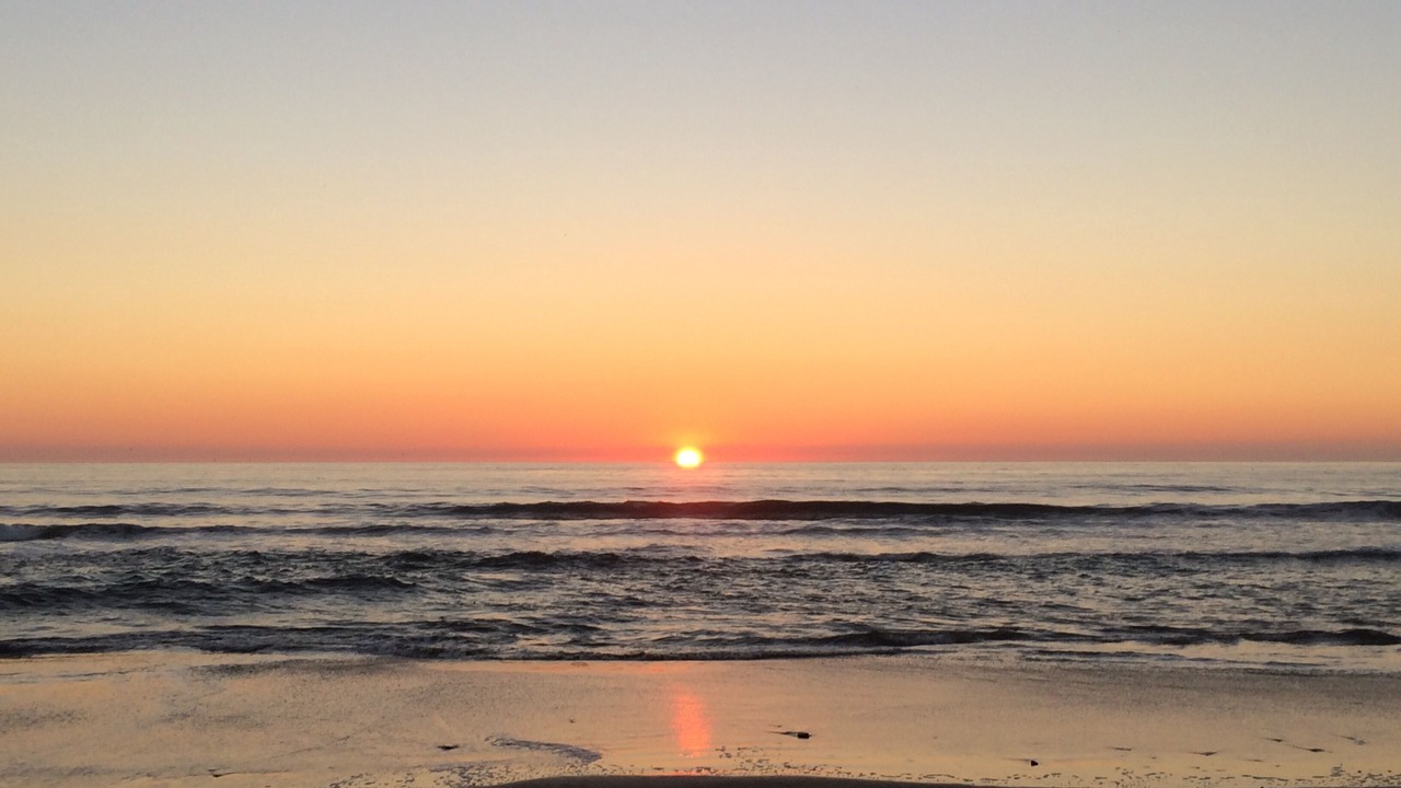 Photo of Others in La Selva Beach