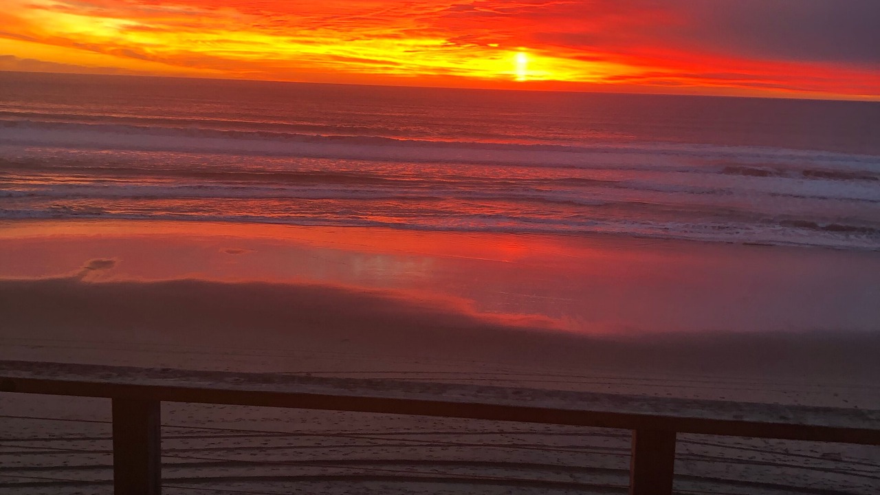 Photo of Others in La Selva Beach