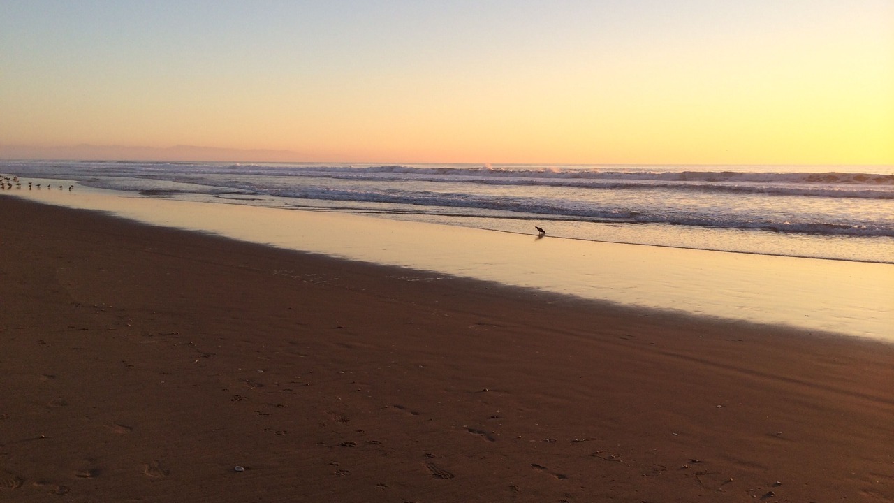 Photo of Others in La Selva Beach