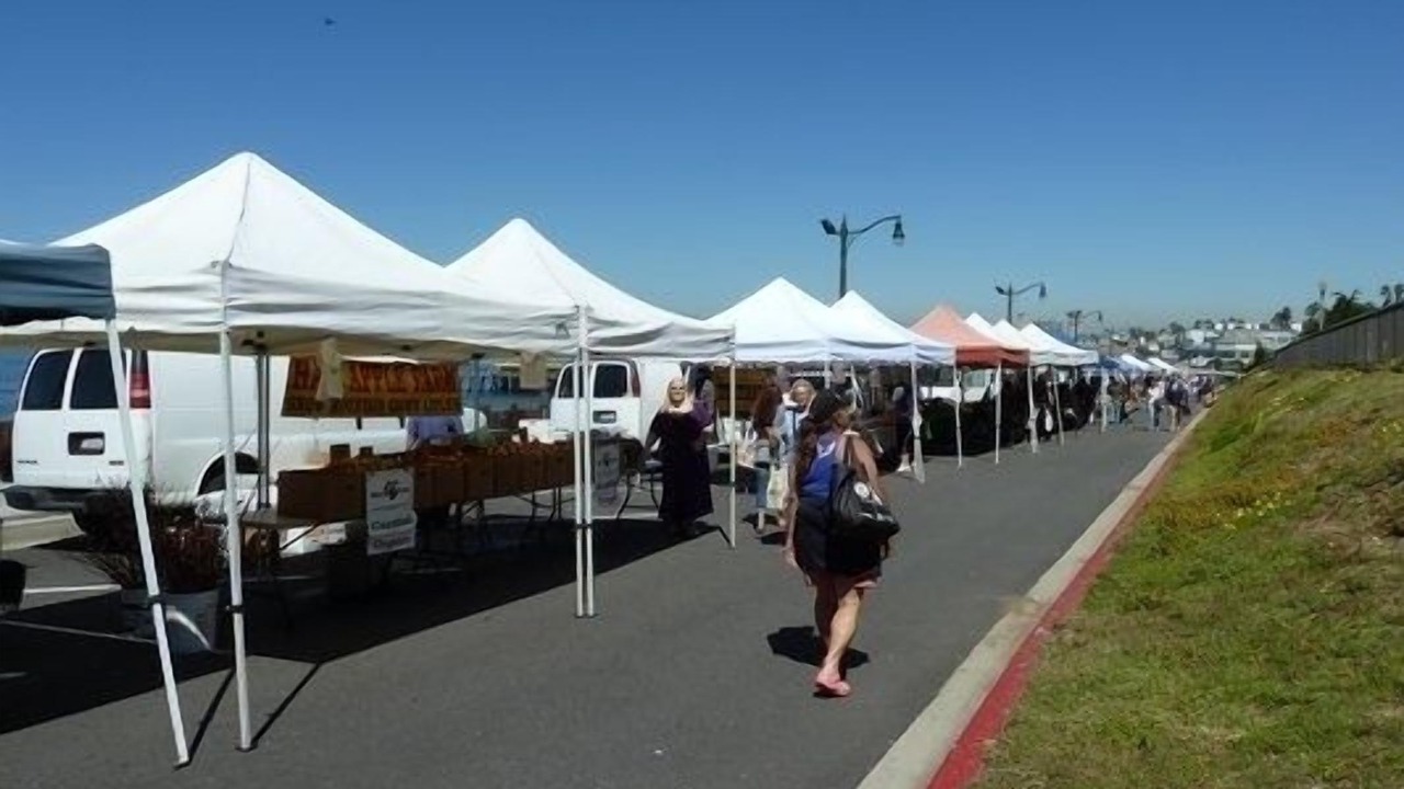 Photo of Others in South Redondo