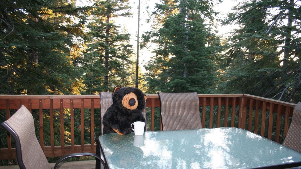 Photo of Others in Truckee
