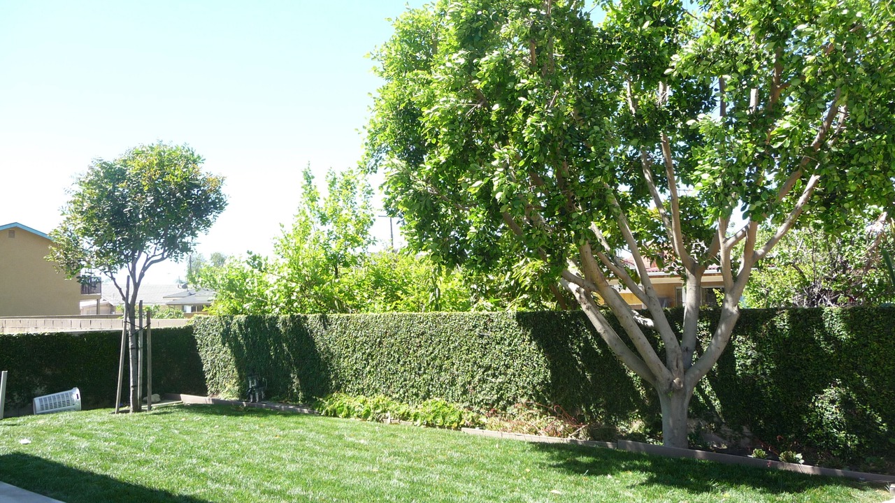 Photo of Others in Azusa