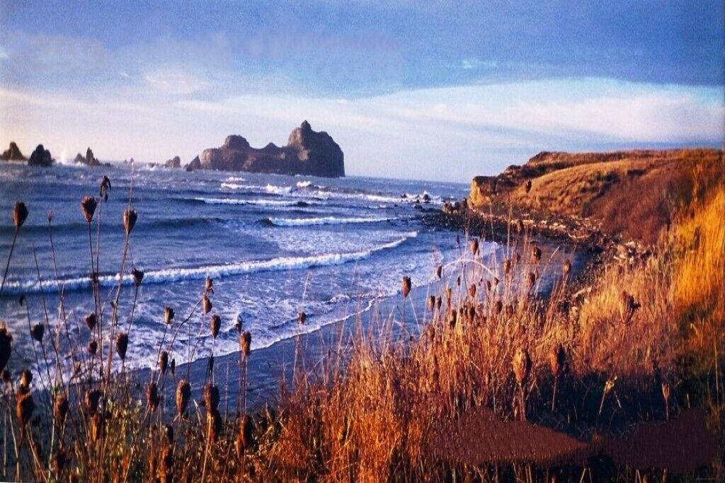 Photo of Others in Crescent City North