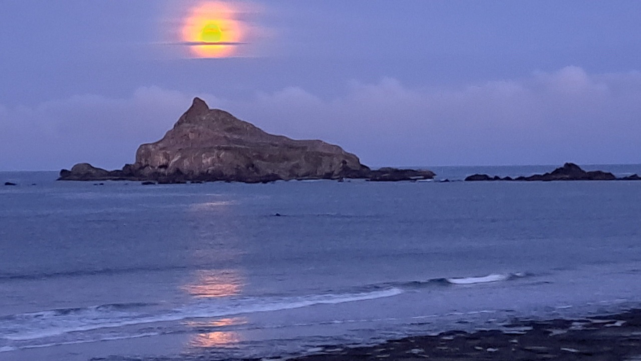 Photo of Others in Crescent City North