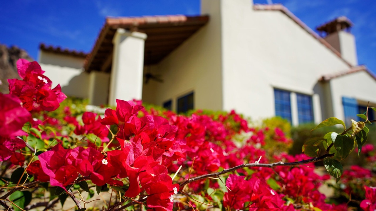 Photo of Outdoor in La Quinta