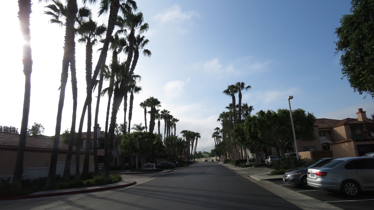 Photo of Others in Newport Beach
