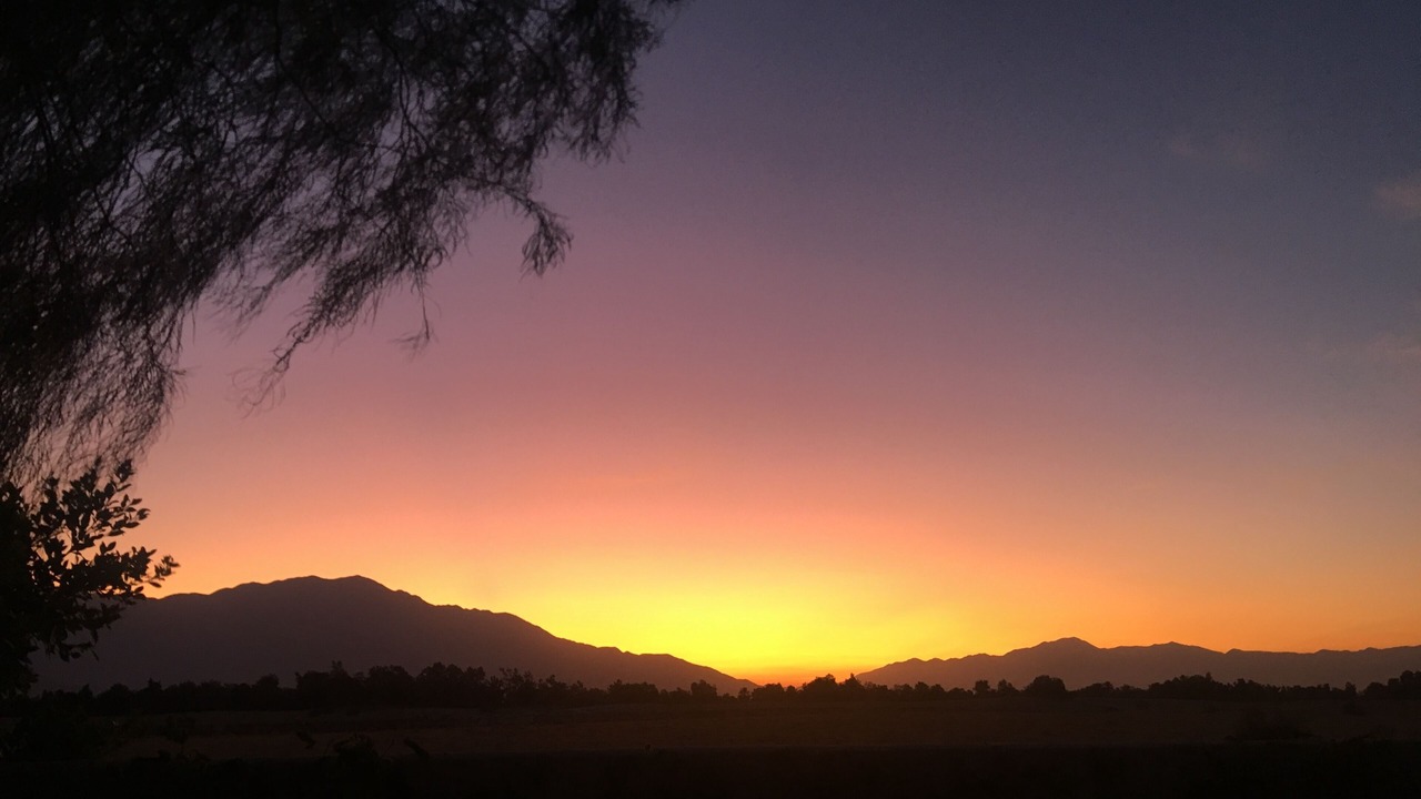 Photo of Others in Palm Desert