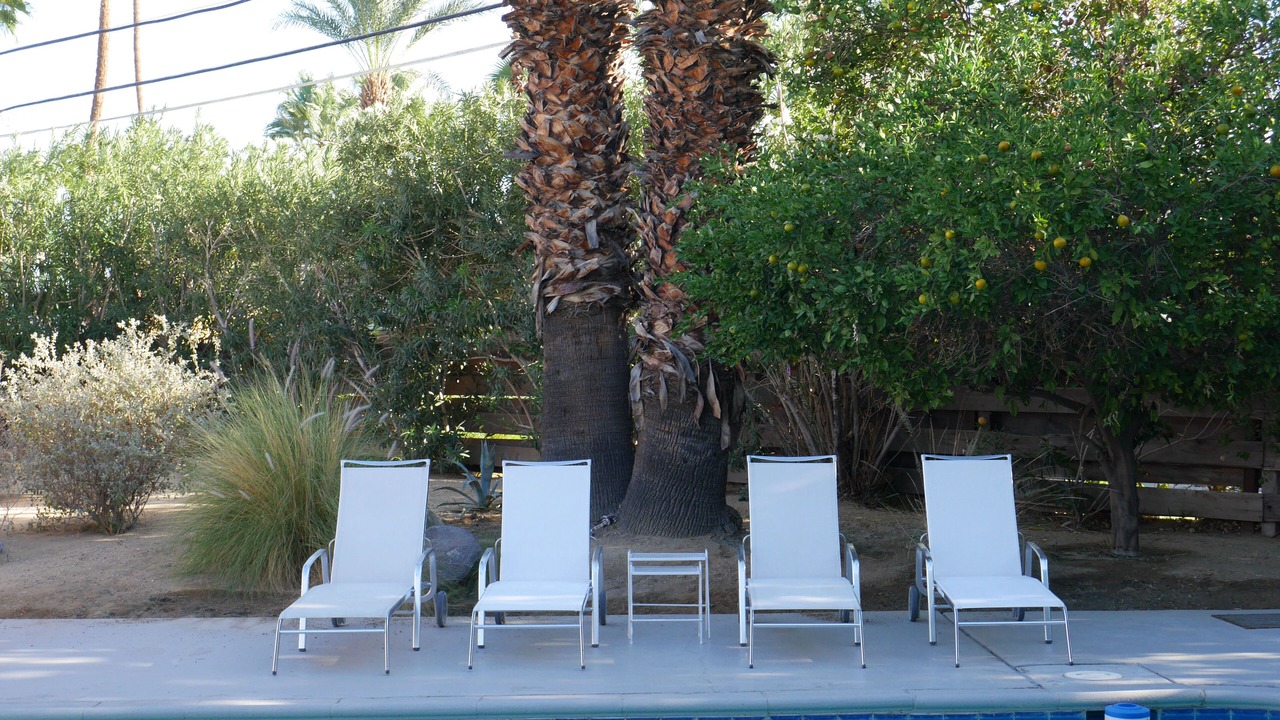 Photo of Outdoor in Racquet Club Estates