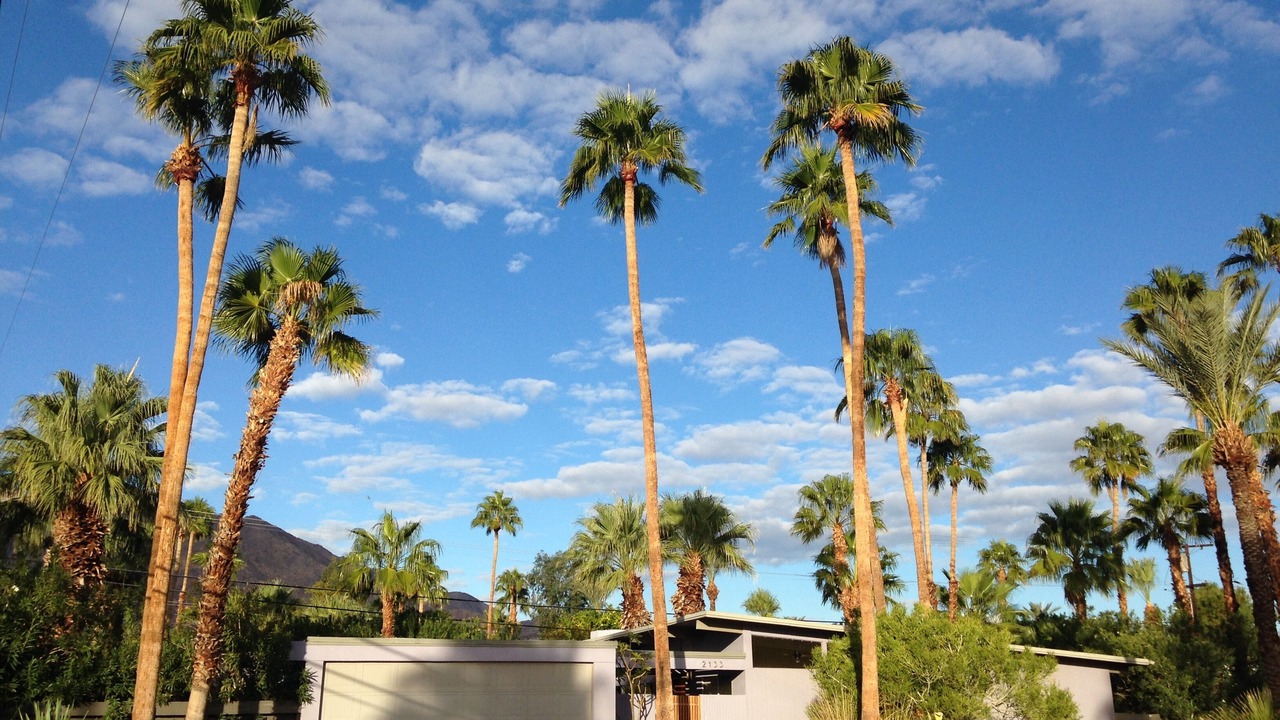 Photo of Outdoor in Racquet Club Estates