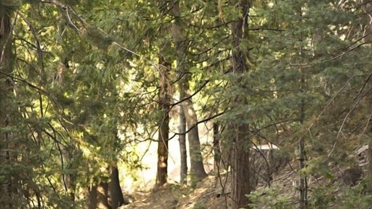 Photo of Others in Lake Arrowhead