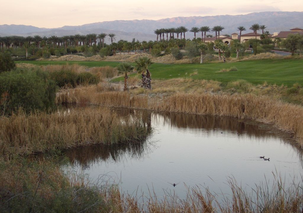 Photo of Others in Palm Desert
