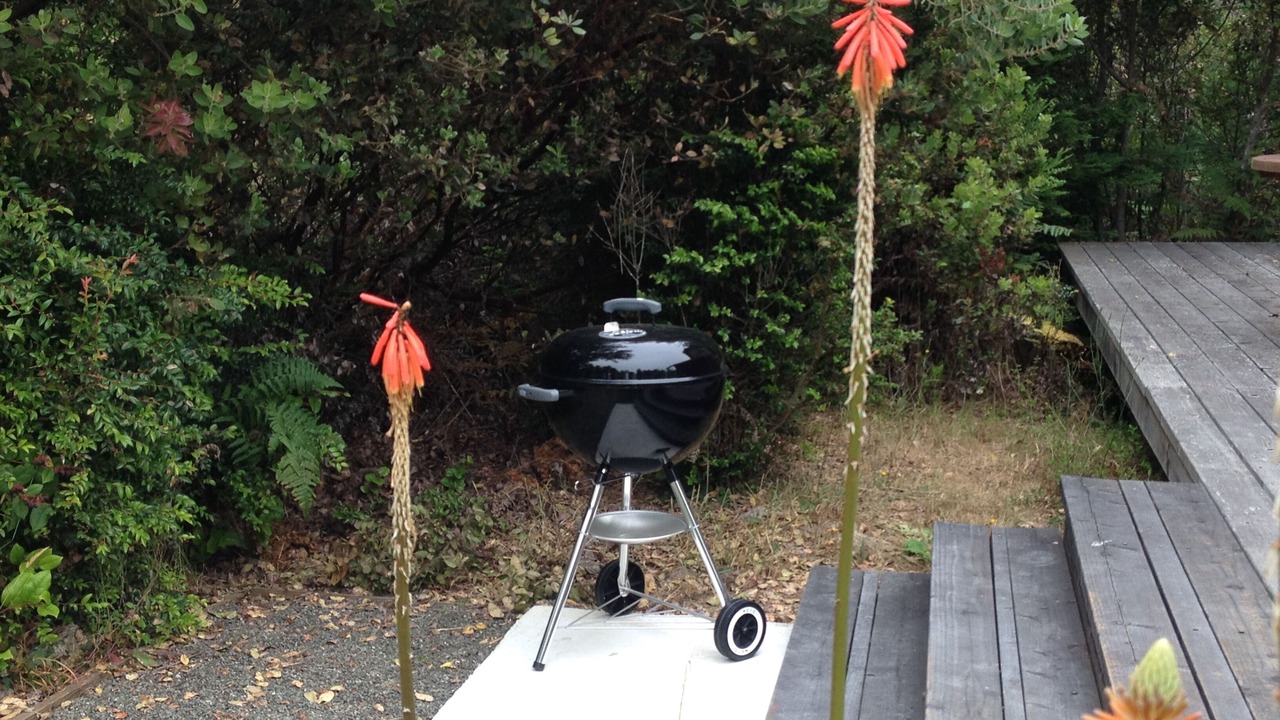 Photo of Outdoor in Mendocino