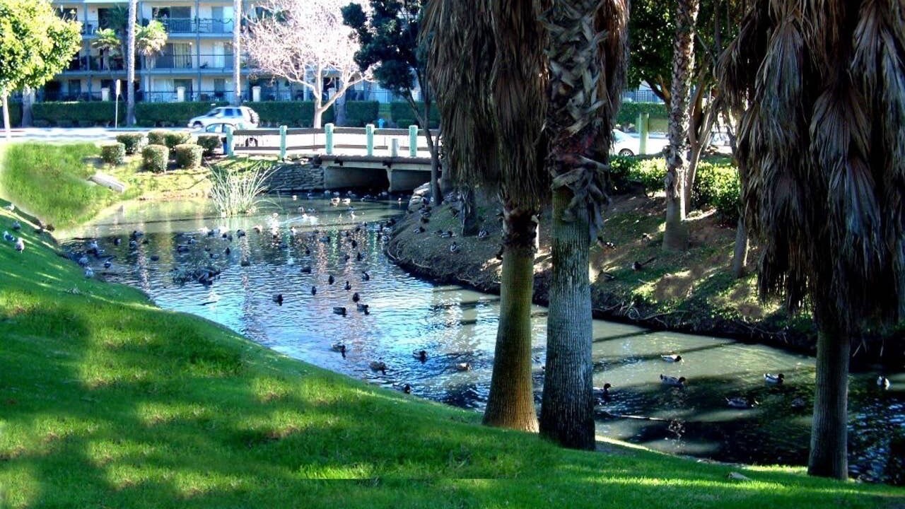 Photo of Outdoor in Port Hueneme