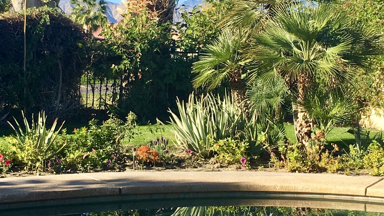 Photo of Outdoor in Indio
