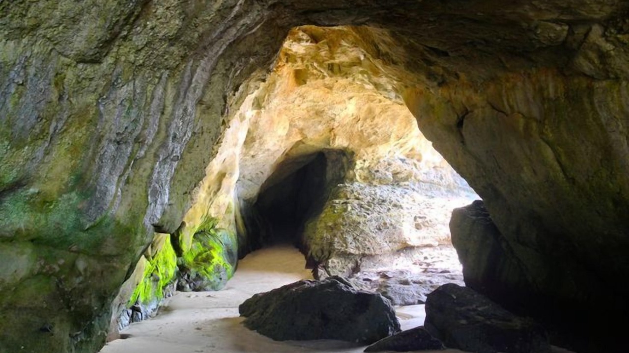 Photo of Others in Laguna Niguel